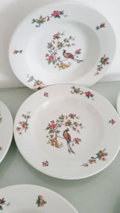 Lot de 6 assiettes creuses 