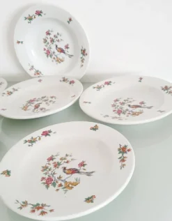 Lot de 6 assiettes creuses 