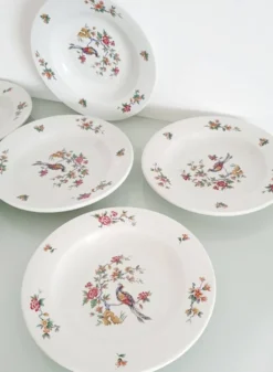 Lot de 6 assiettes creuses "oiseau de paradis " Sarreguemines