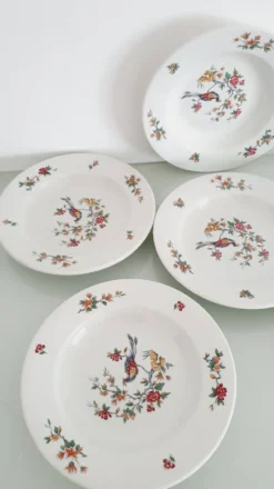 Lot de 6 assiettes creuses 