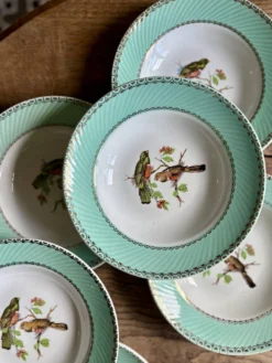 Lot de 10 assiettes creuses vintage décors d'oiseaux
