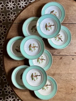 Lot de 10 assiettes creuses vintage décors d'oiseaux