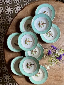 Lot de 10 assiettes creuses vintage décors d'oiseaux
