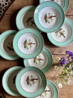Lot de 10 assiettes creuses vintage décors d'oiseaux