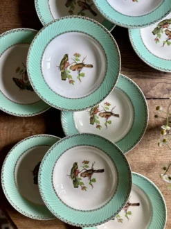 Lot de 10 assiettes creuses vintage décors d'oiseaux