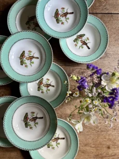 Lot de 10 assiettes creuses vintage décors d'oiseaux