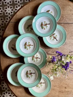 Lot de 10 assiettes creuses vintage décors d'oiseaux