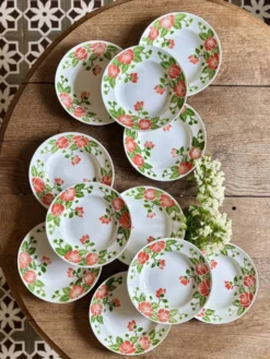 Lot de 11 assiettes creuses vintage Eric de Moulin des Loups