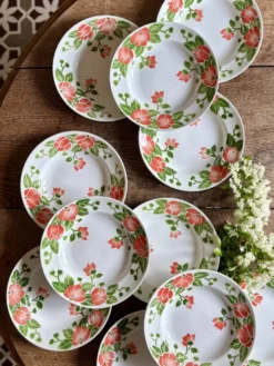 Lot de 11 assiettes creuses vintage Eric de Moulin des Loups
