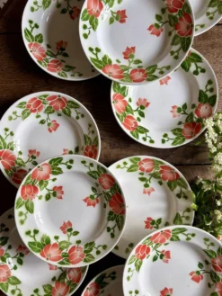 Lot de 11 assiettes creuses vintage Eric de Moulin des Loups