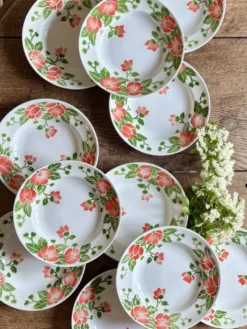 Lot de 11 assiettes creuses vintage Eric de Moulin des Loups