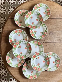 Lot de 11 assiettes creuses vintage Eric de Moulin des Loups