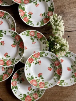 Lot de 11 assiettes creuses vintage Eric de Moulin des Loups