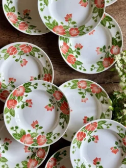 Lot de 11 assiettes creuses vintage Eric de Moulin des Loups