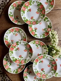 Lot de 11 assiettes creuses vintage Eric de Moulin des Loups