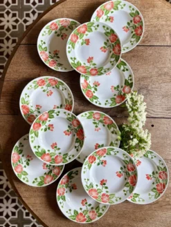 Lot de 11 assiettes creuses vintage Eric de Moulin des Loups