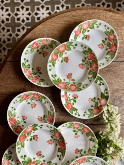 Lot de 11 assiettes creuses vintage Eric de Moulin des Loups