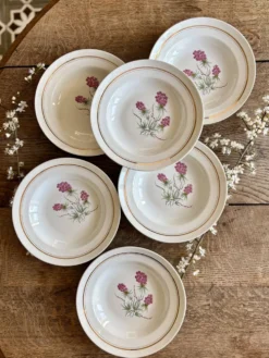 Lot de 6 assiettes creuses vintage - Moulin des Loups