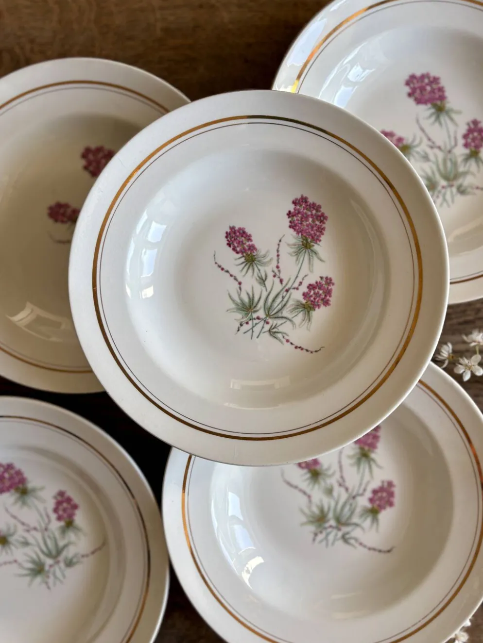 Lot de 6 assiettes creuses vintage - Moulin des Loups