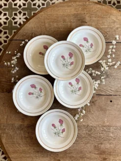 Lot de 6 assiettes creuses vintage - Moulin des Loups