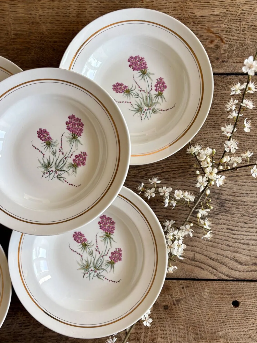 Lot de 6 assiettes creuses vintage - Moulin des Loups