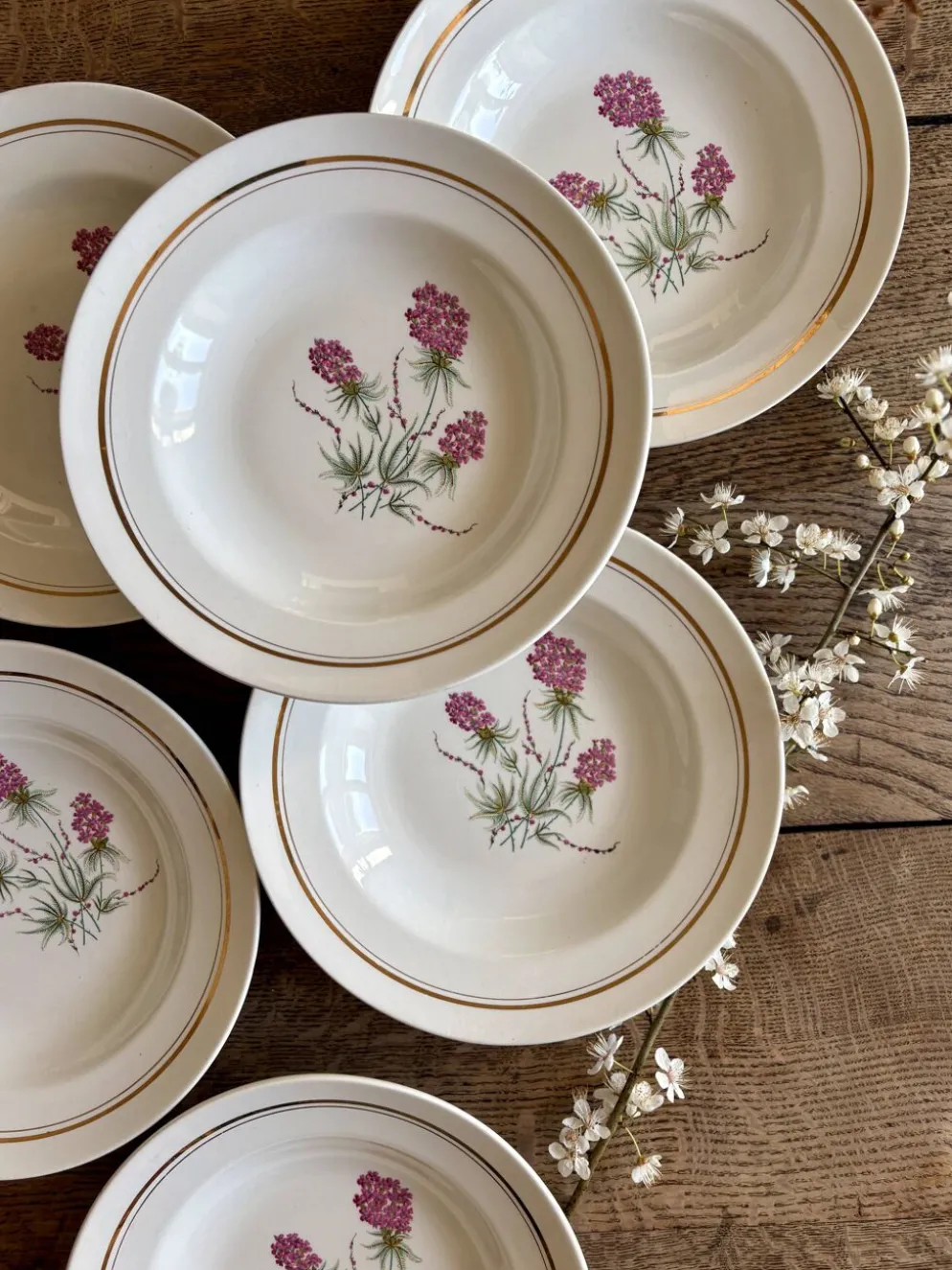 Lot de 6 assiettes creuses vintage - Moulin des Loups
