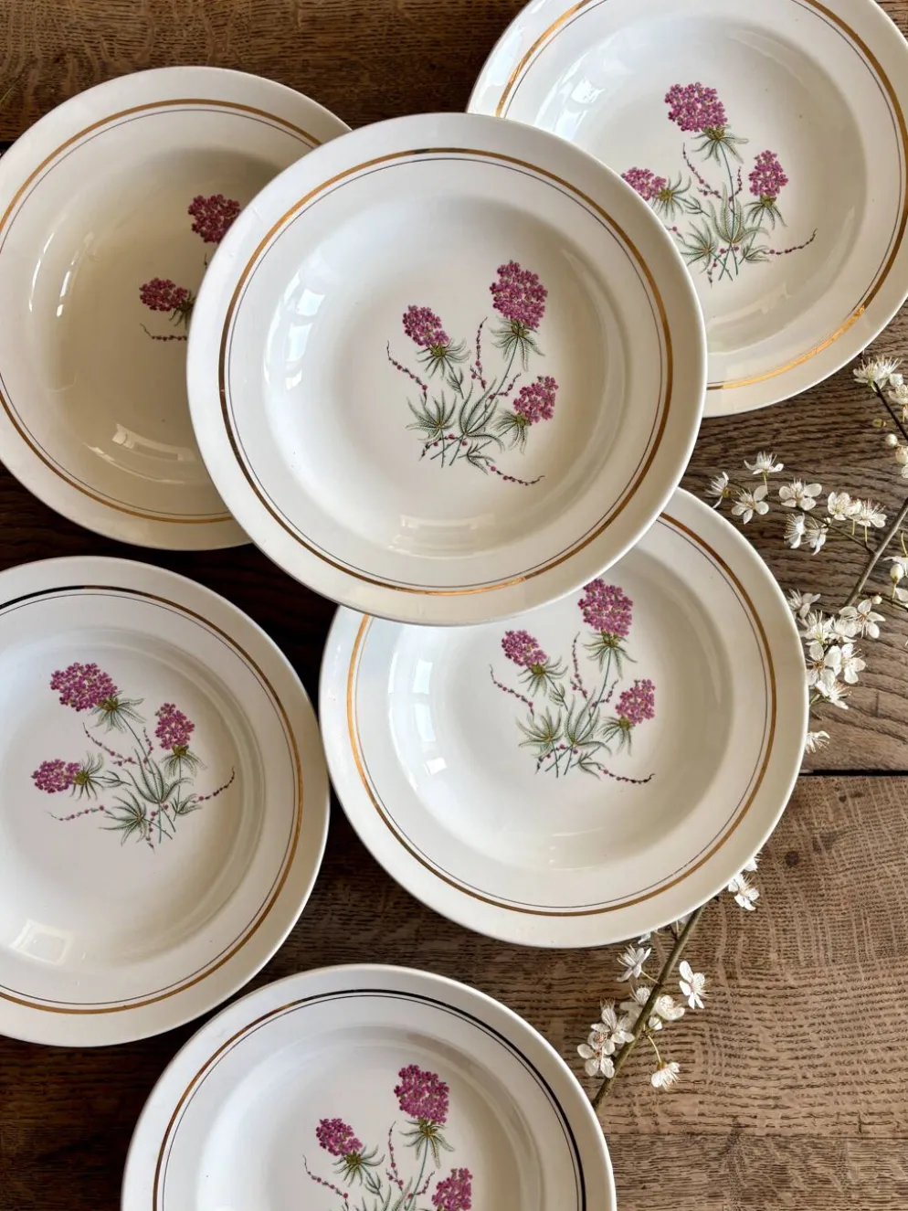 Lot de 6 assiettes creuses vintage - Moulin des Loups