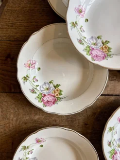 Lot de 6 assiettes creuses vintage, décors Anémone de Digoin Sarreguem
