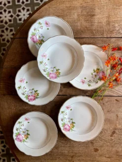 Lot de 6 assiettes creuses vintage, décors Anémone de Digoin Sarreguem