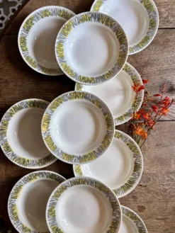 Lot de 10 assiettes creuses vintage, modèles Monico de Digoin/Sarregue