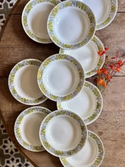 Lot de 10 assiettes creuses vintage, modèles Monico de Digoin/Sarregue