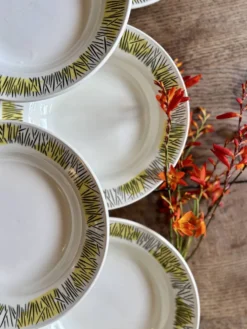 Lot de 10 assiettes creuses vintage, modèles Monico de Digoin/Sarregue