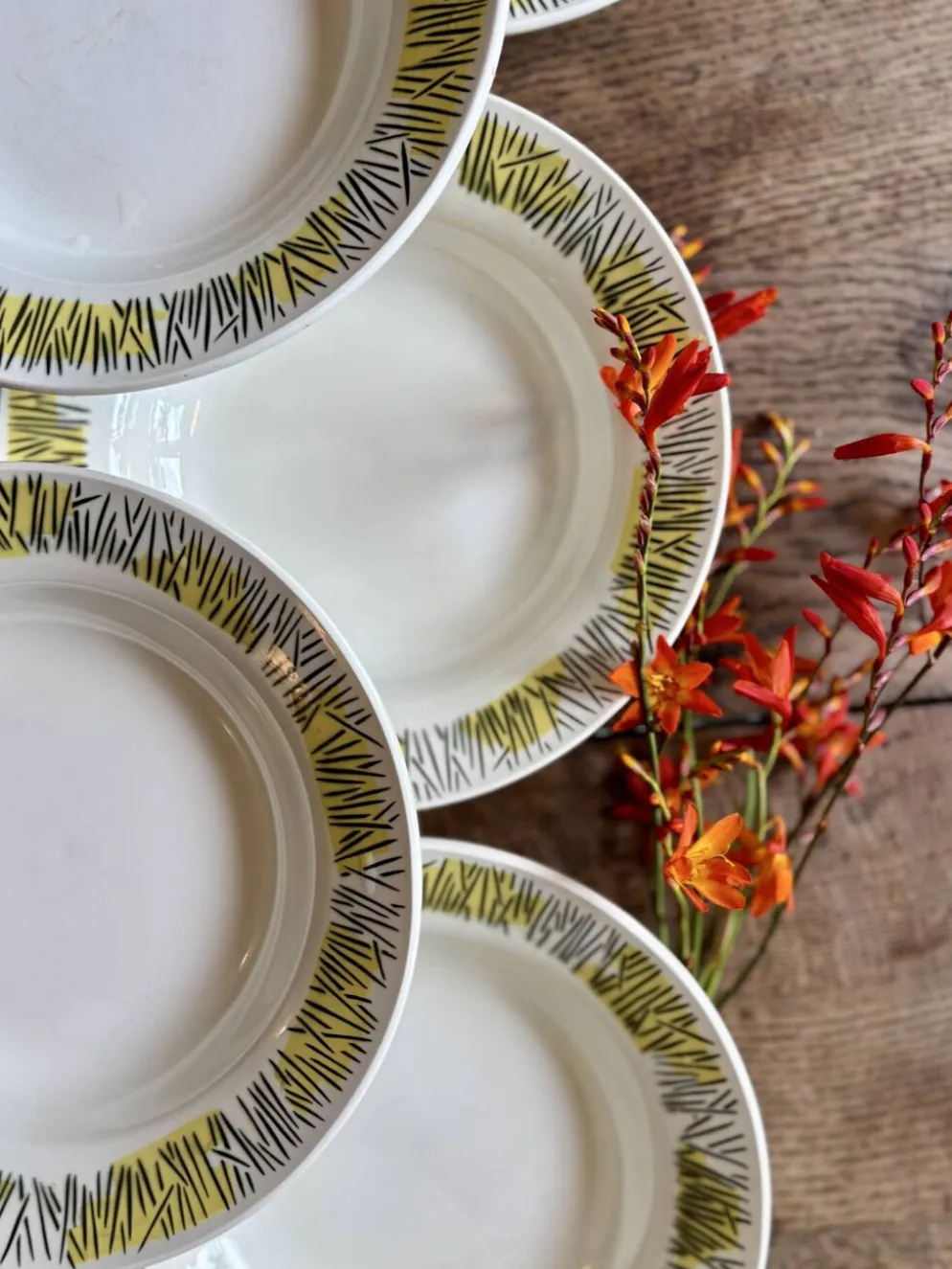Lot de 10 assiettes creuses vintage, modèles Monico de Digoin/Sarregue