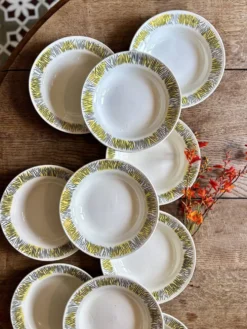 Lot de 10 assiettes creuses vintage, modèles Monico de Digoin/Sarregue