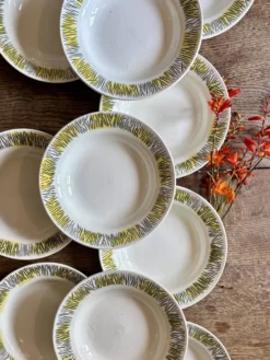 Lot de 10 assiettes creuses vintage, modèles Monico de Digoin/Sarregue