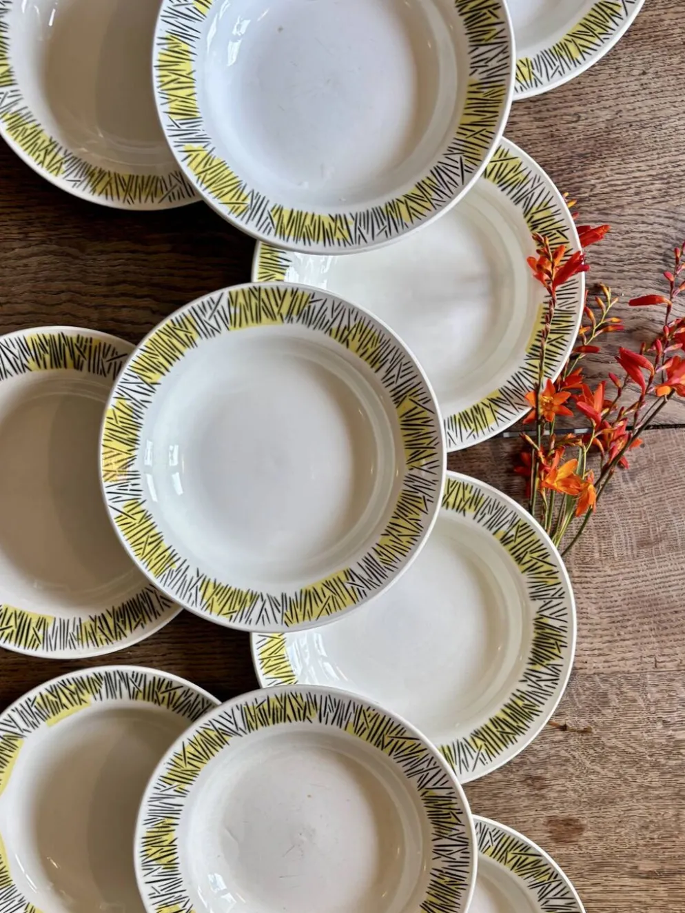 Lot de 10 assiettes creuses vintage, modèles Monico de Digoin/Sarregue
