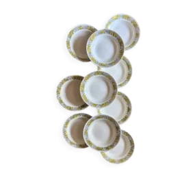 Lot de 10 assiettes creuses vintage, modèles Monico de Digoin/Sarregue