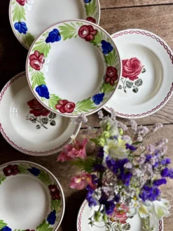 Lot de 6 assiettes creuses vintage (L2)
