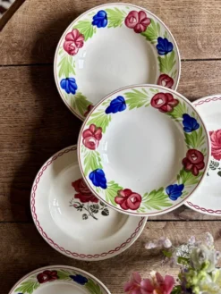 Lot de 6 assiettes creuses vintage (L2)