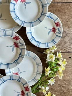 Lot de 10 assiettes creuses vintage de Digoin