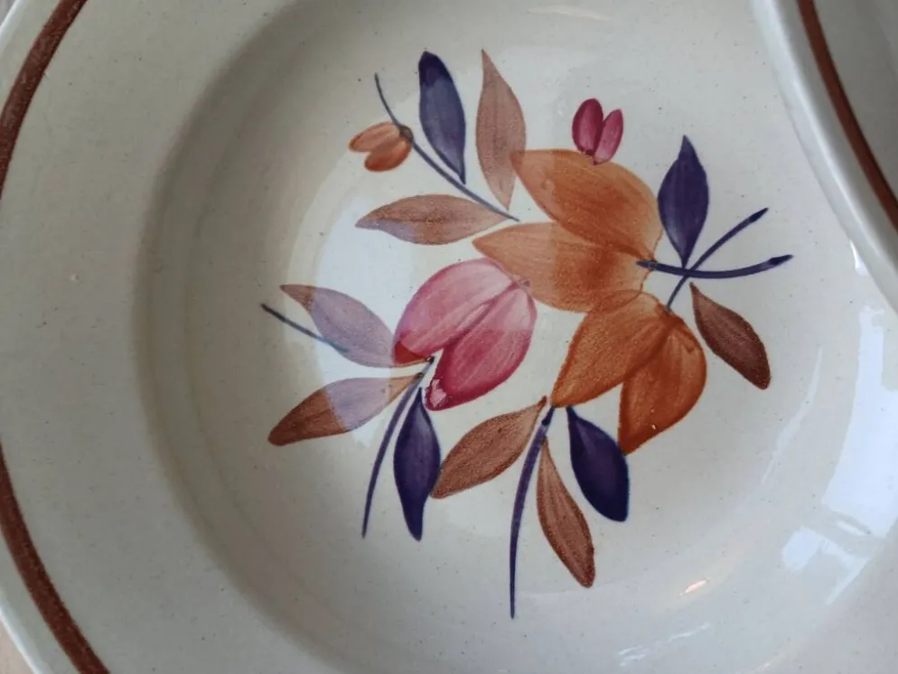 Lot de 12 assiettes creuses vintage motif bordeaux caramel