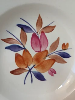 Lot de 12 assiettes creuses vintage motif bordeaux caramel
