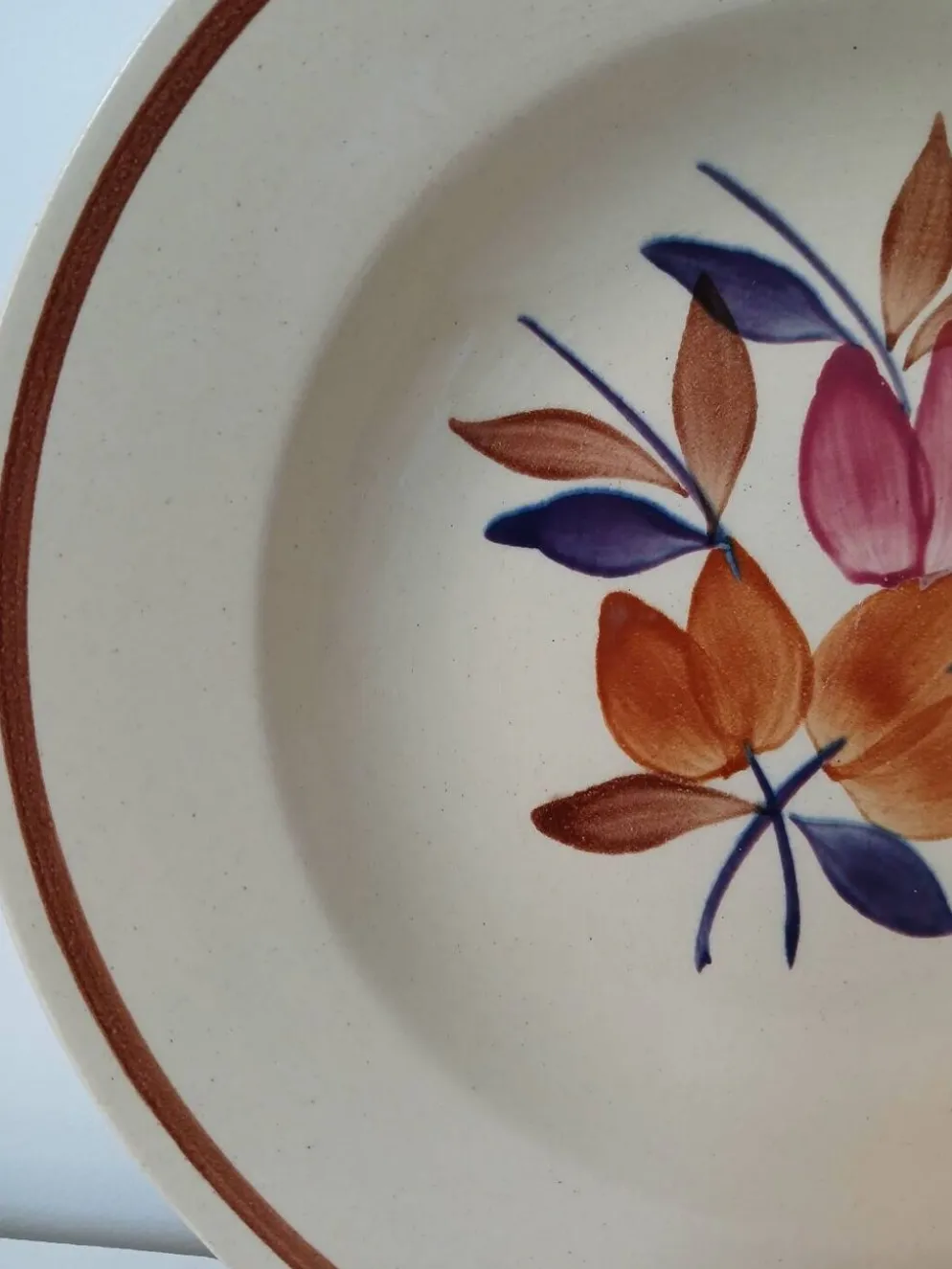 Lot de 12 assiettes creuses vintage motif bordeaux caramel