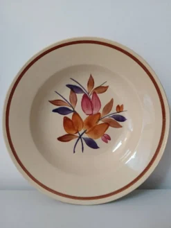 Lot de 12 assiettes creuses vintage motif bordeaux caramel