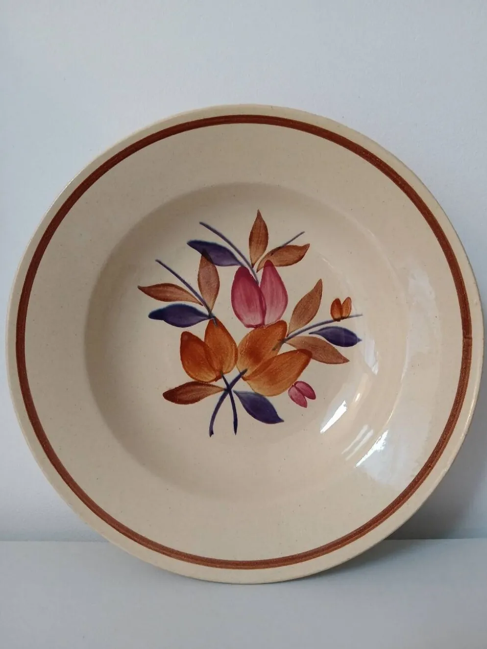 Lot de 12 assiettes creuses vintage motif bordeaux caramel
