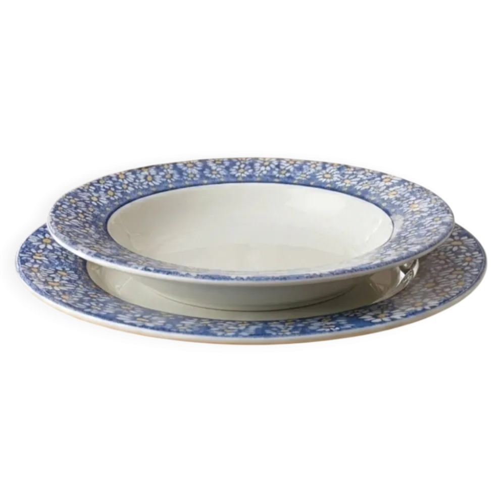 Lot de 10 assiettes creuses vintage en faïence