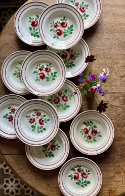 Lot de 12 assiettes creuses vintage - Les Roses -
