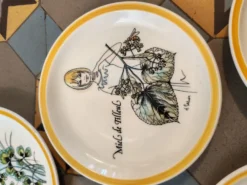 Lot de 5 assiettes décoratives Gien par Hughette Sainson