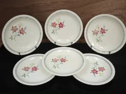 Lot de 6 assiettes demi creuses anciennes Salin France "Martine"