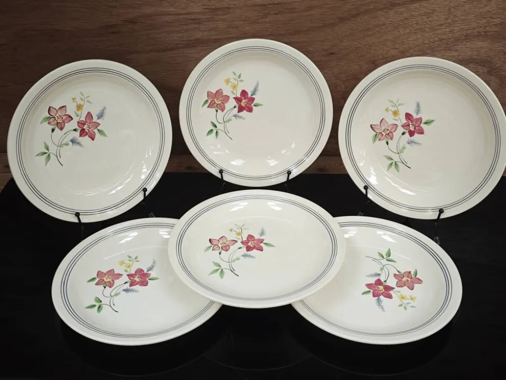 Lot de 6 assiettes demi creuses anciennes Salin France "Martine"